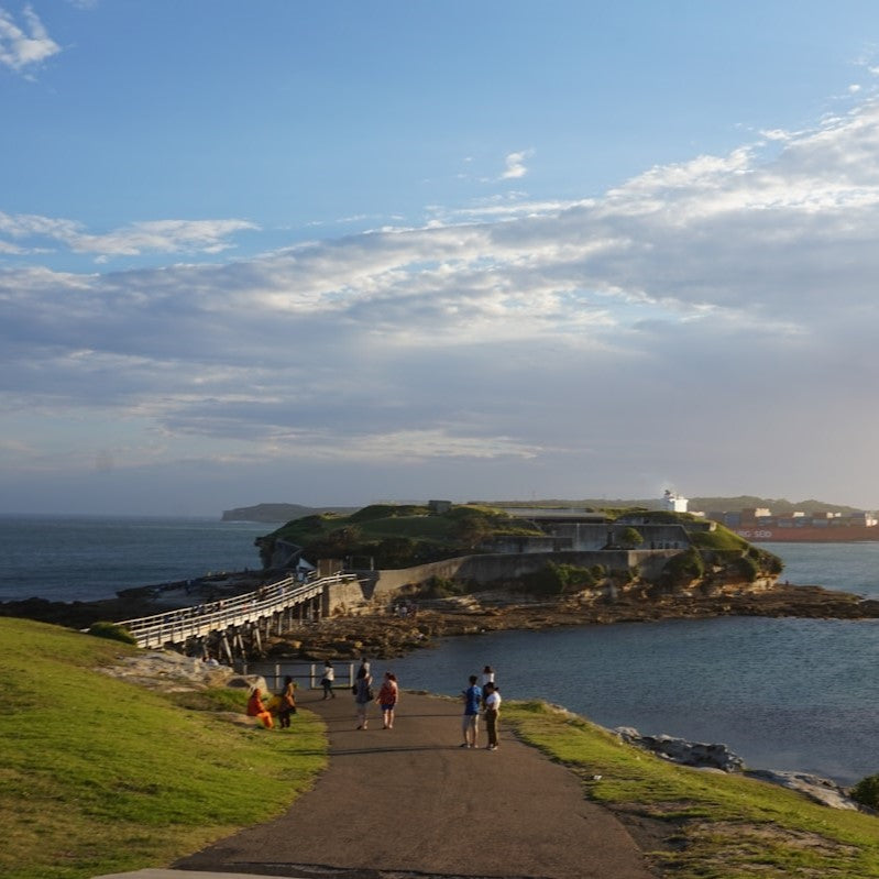 Top 5 Shore Dives in Sydney