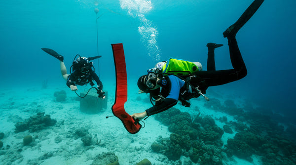 DIVE ACCESSORIES