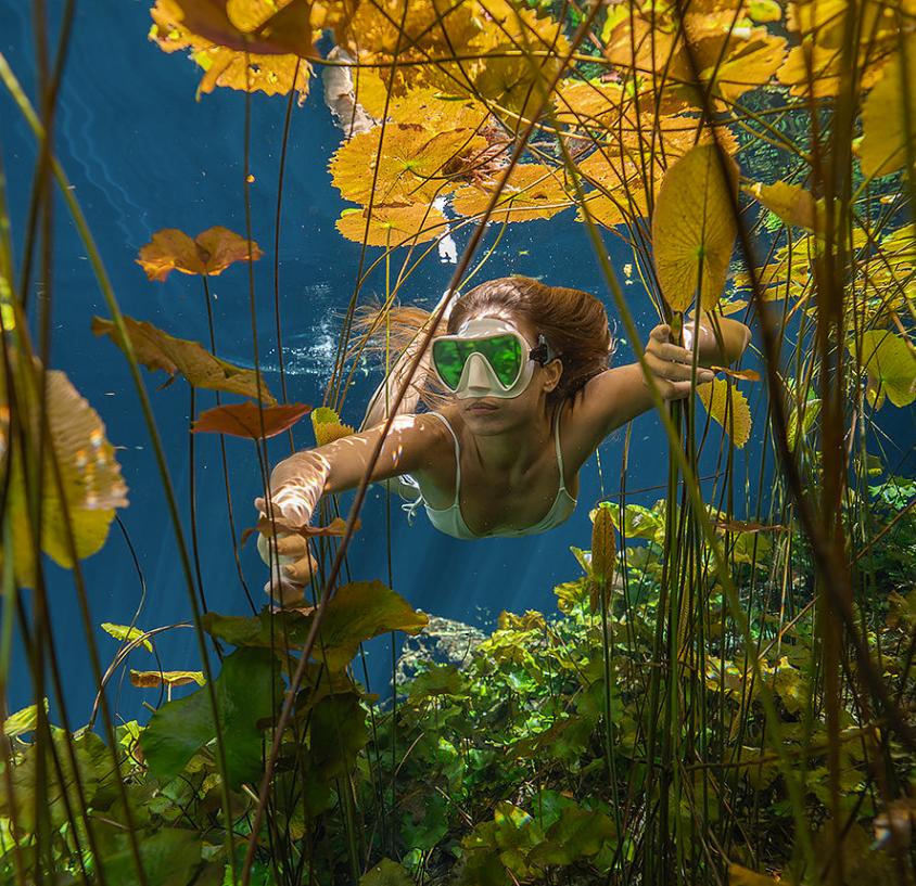Masks & Snorkels